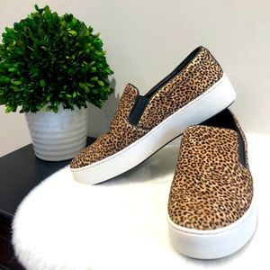 Michael Kors Leapord Trent Platform Sneakers